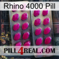 Rhino 4000 Pill 10